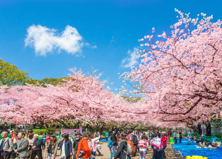 一日券在手 东京23区著名景点任你畅游