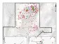 Provenance Gold Releases Further Results from Its Maiden Drill Program at Eldorado Intersecting 12 Meters of 18.01 g/t Gold Within 119 meters of 3.28 g/t Gold from Surface