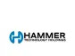 Update on Hammer Group's Strategic Restructuring and Future Plans