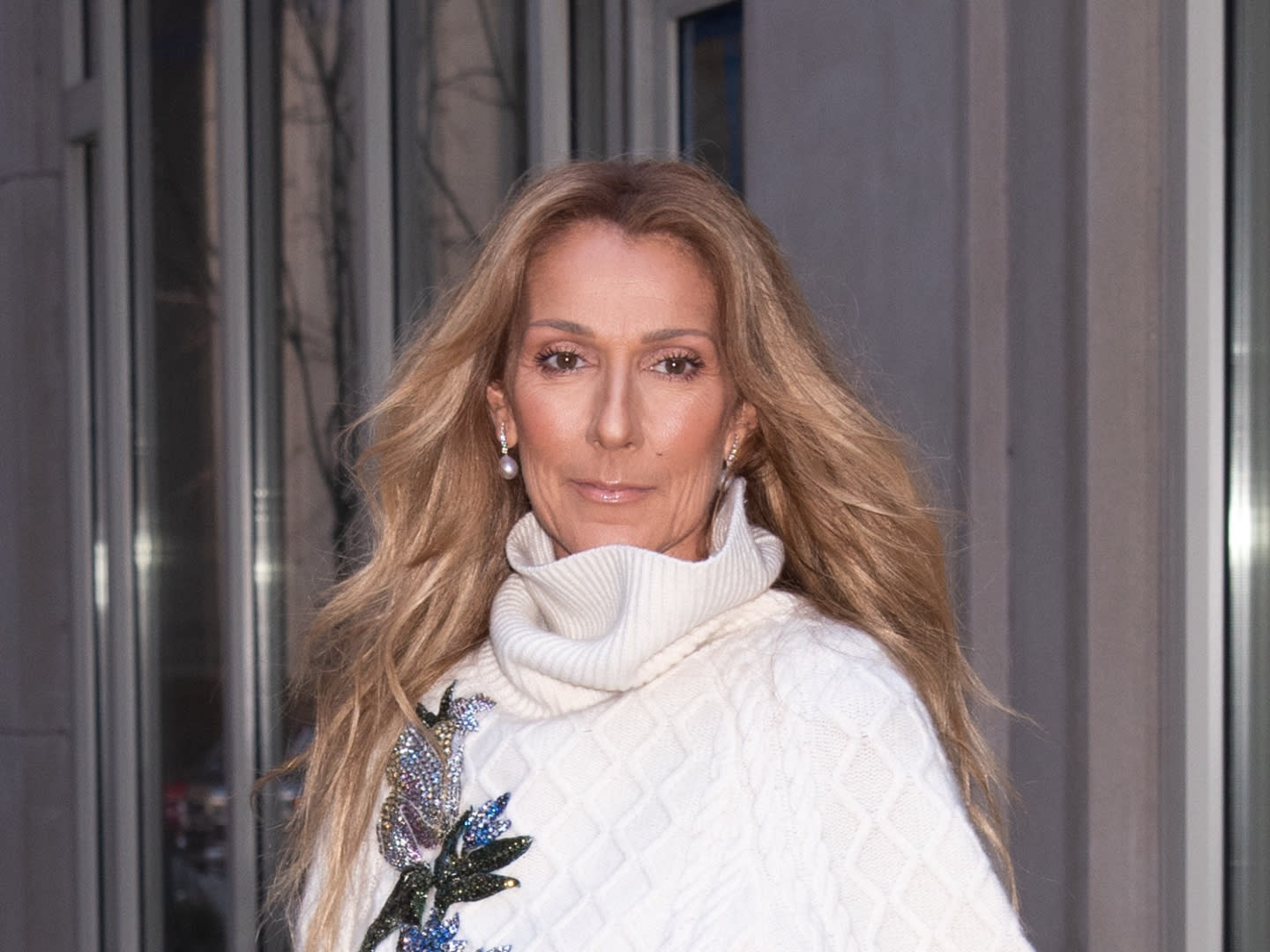 Celine Dion shared a rare photo with her 3 children – in matching PCs!
