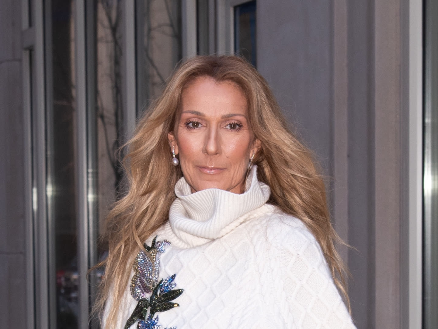 Celine Dion Shared A Rare Photo With All 3 Sons In Matching Pjs