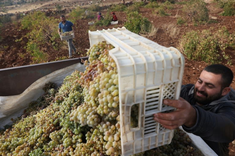 ‘Eternal’ wine revives Assyrian culture in Turkey