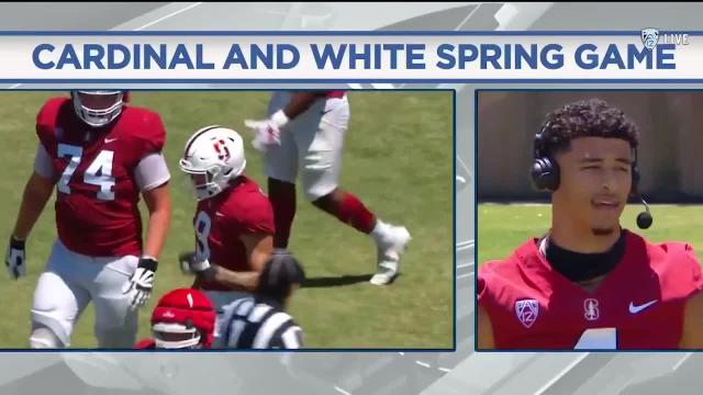 Wideout Michael Wilson is grateful for the security that comes with a Stanford degree