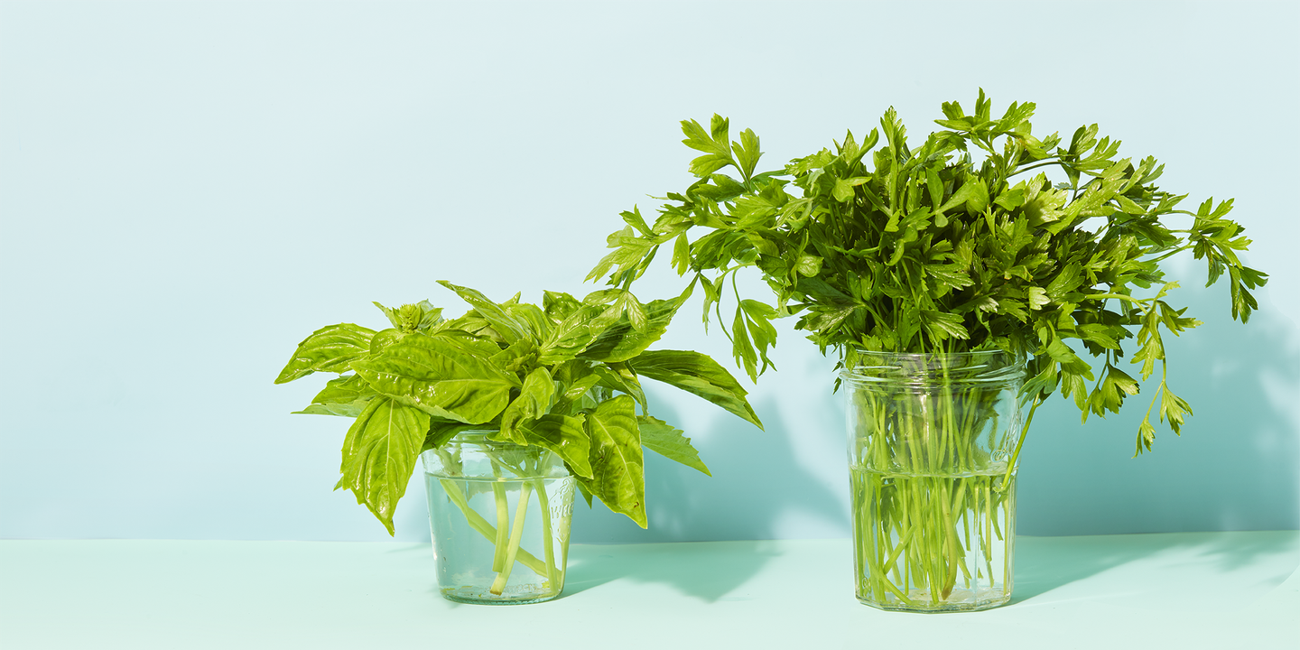 Fresh herb. Fresh Herbs. Add Herbs.