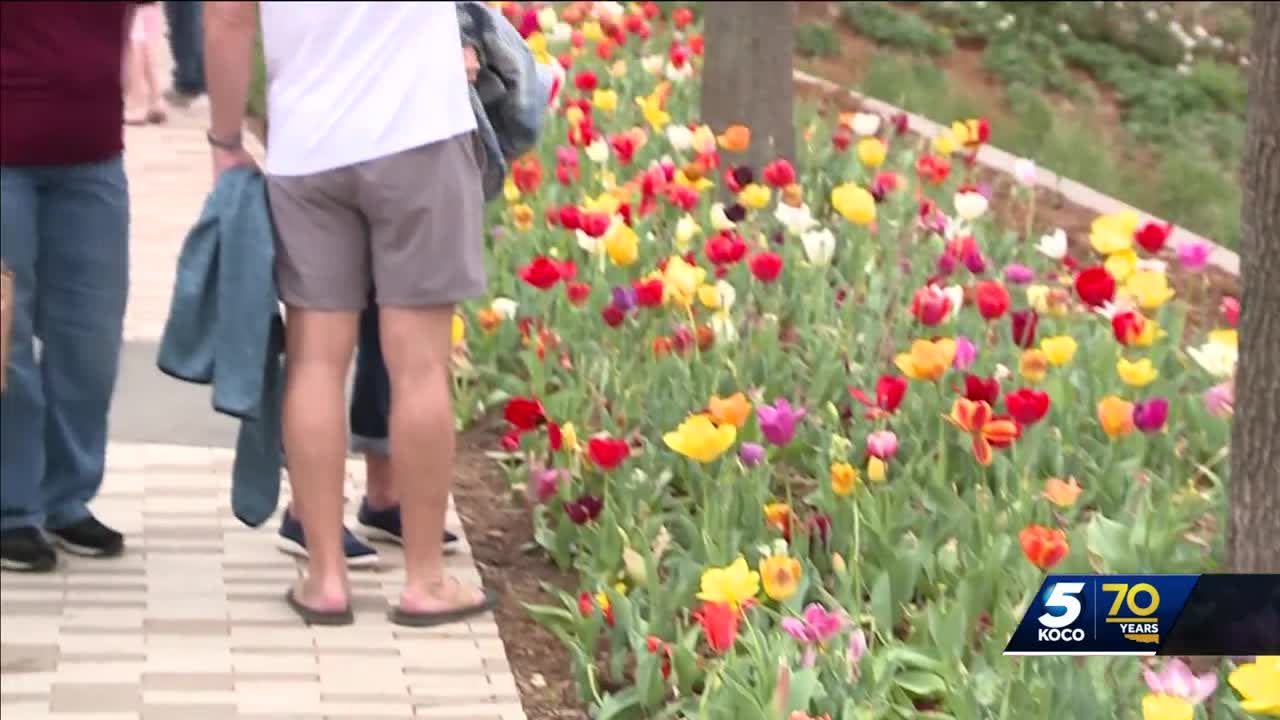 Hundreds visit Tulip Festival in Myriad Botanical Gardens to celebrate  Easter