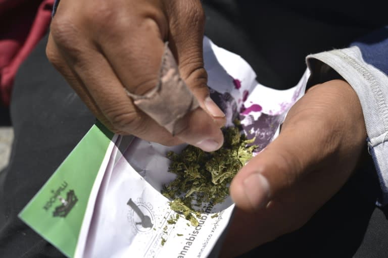 Smoking Mota Drug Slang Enters Mexico S Dictionary