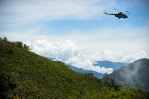 Corte Colombiana Condiciona Reanudacion De Fumigacion Aerea De Cultivos Ilicitos