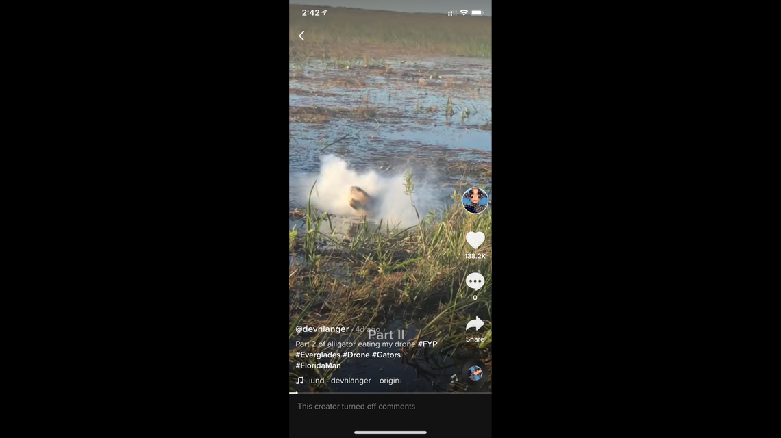 An alligator bit a drone in the Florida Everglades. Its mouth filled with smoke