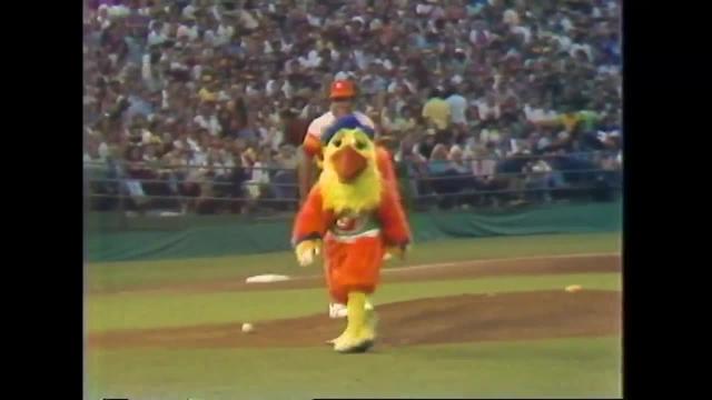 San Diego Chicken, unofficial mascot, at a Padres game.  San diego padres  baseball, Padres baseball, Team mascots