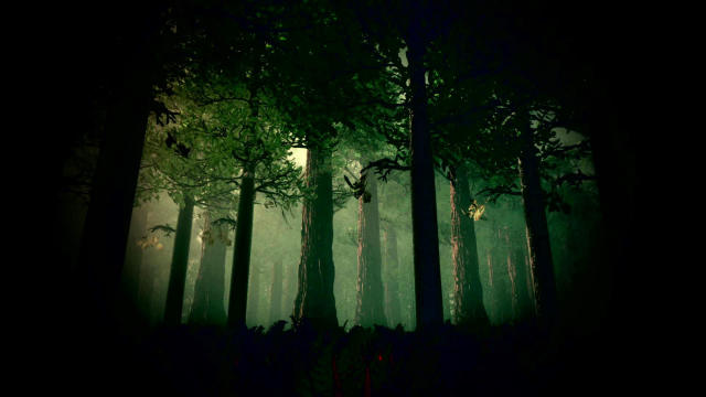 Hoia Baciu Forest World S Most Haunted Forest