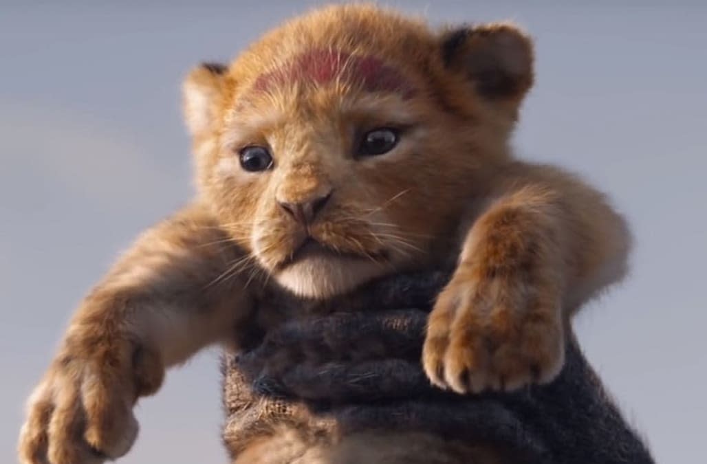 Watch The First ‘the Lion King’ Live Action Teaser Trailer