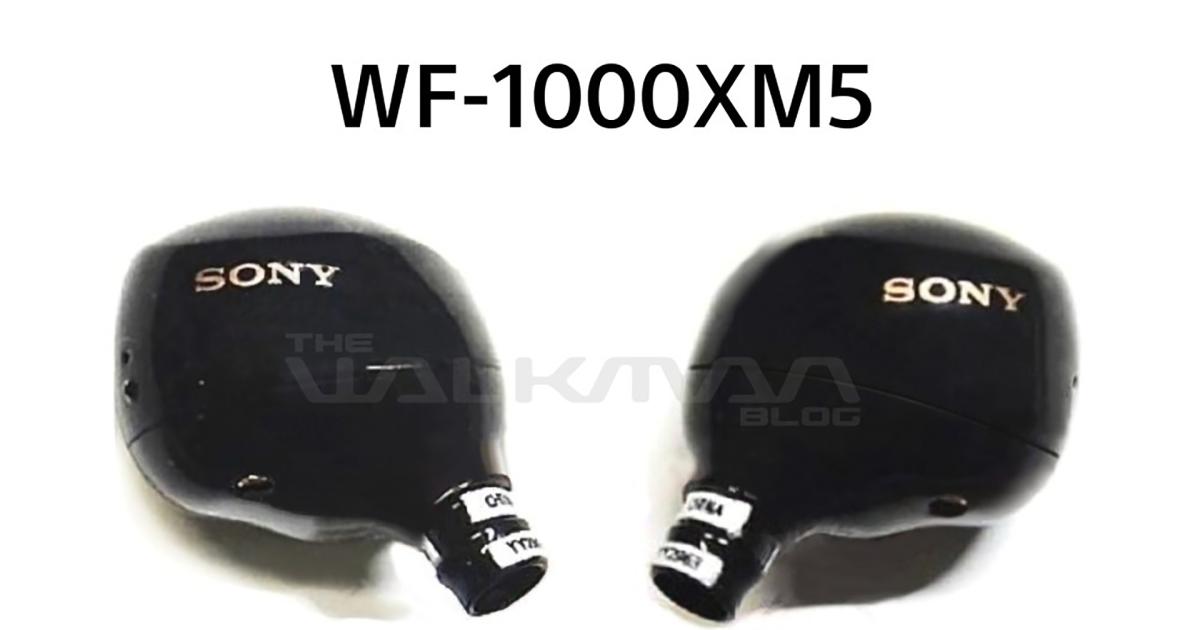 Sony WF-1000XM5 leak offers a first look at the unannounced earbuds
