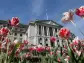 Bank of England holds interest rates but hints at summer cut