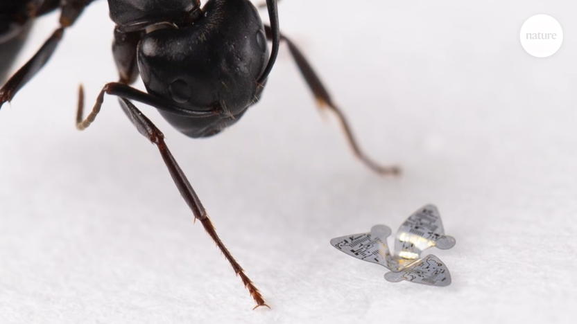 Nature-inspired robots are among the tiniest flying devices yet