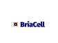 BriaCell Announces Oral and Poster Presentations at ASCO 2024