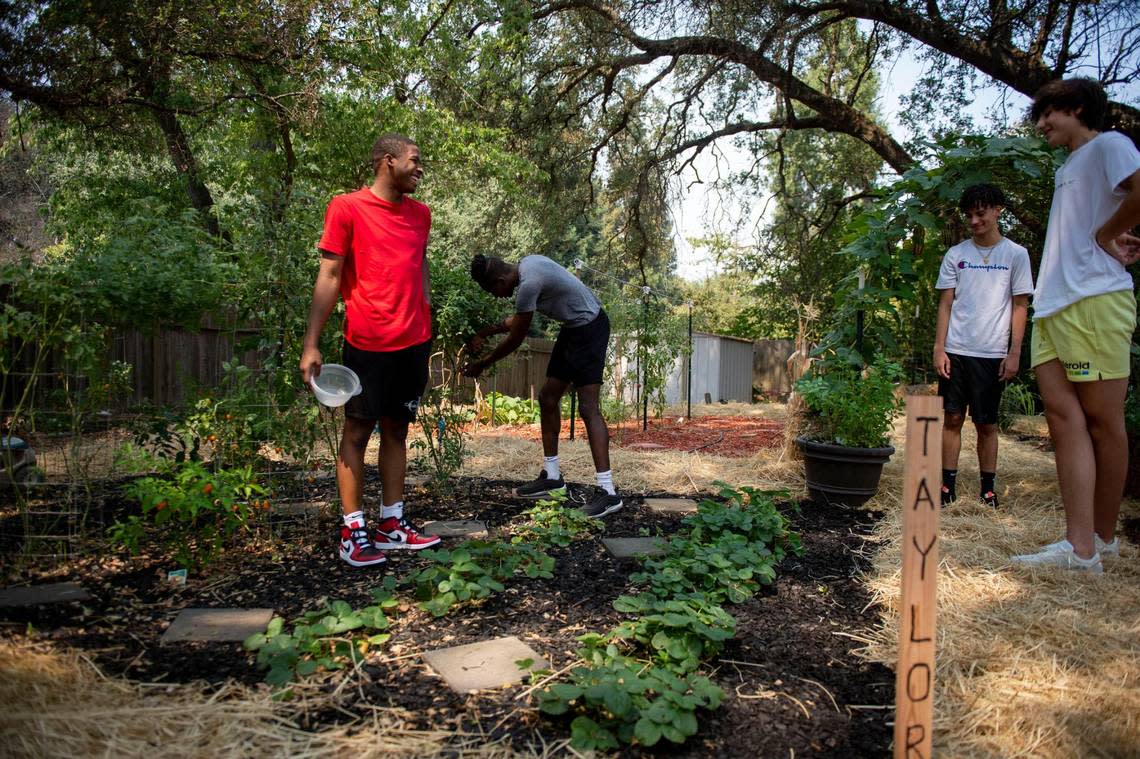 Fair Oaks kids grow their pandemic side project into a thriving backyard garden