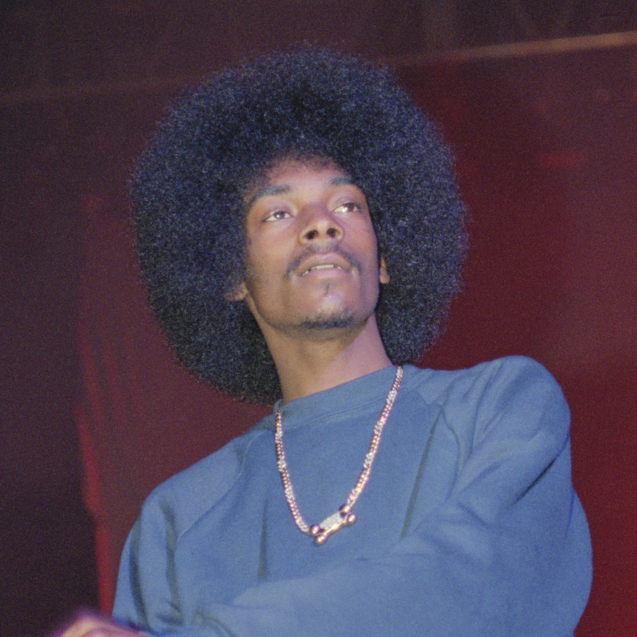 18 Looks That Prove Snoop Dogg Is A Hair Icon