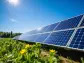 Is JinkoSolar (JKS) the Cheapest Clean Energy Stock to Buy According to Hedge Funds?