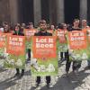 Pasqua, flash mob Lav a Roma &quot;Let It Beee&quot; per salvare gli agnelli
