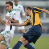 Probabili formazioni Sassuolo-Verona: Falcinelli e Toni dal 1&#39;