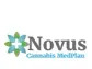 Novus Releases Its First Quarter Financial Statements For 2023