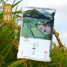 帶有「芋頭香味」的稻米新品種— 台農71號  霧峰香米!!!
