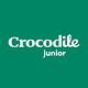 Crocodile Junior小鱷魚童裝-條紋拼布設計洋裝-C64386 product thumbnail 7