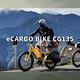 【DOSUN】電動輔助自行車DOSUN eCARGO BIKE CG135消光綠(車麗屋) product thumbnail 3