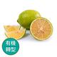 【果物配-任選699免運】檸檬．有機轉型期(600g/1~2顆) product thumbnail 2