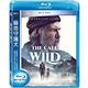 極地守護犬 The Call Of The Wild  藍光 BD product thumbnail 2