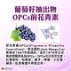 赫而司 VITA OPC-1養顏素葡萄籽OPC(60顆*2罐)膠囊(含95%前花青素OPCs) product thumbnail 5