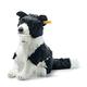 STEIFF德國金耳釦泰迪熊 Jaycee Border Collie 邊境牧羊犬動物王國_黃標 product thumbnail 2