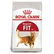 Royal Canin法國皇家 F32理想體態貓飼料 4kg product thumbnail 2