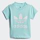 adidas ADICOLOR 短袖上衣 童裝 - Originals FM5592 product thumbnail 2