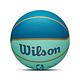 Wilson 籃球 NBA 綠 藍 夏洛特黃蜂 城市限定 7 號球 吸濕 排汗 威爾森 WZ4024204XB7 product thumbnail 5