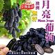 天天果園＊澳洲無籽月亮葡萄(每盒500g±10%) x1盒 product thumbnail 3