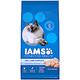 IAMS 愛慕思 健康優活 雞肉 口腔護理 成貓糧 3.5磅 2包組 product thumbnail 2