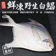 【海陸管家】鮮嫩野生白鯧魚4尾(每尾220g-280g) product thumbnail 2