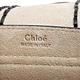 CHLOE Hudson系列小牛皮鉚釘裝飾麂皮流蘇掀蓋斜背包(迷你-黑色) product thumbnail 8