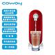 【Coway】奈米高效淨水器P-250N DIY自裝組 product thumbnail 4