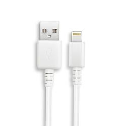 FOR Apple 適用Lightning 8pin 傳輸充電線 - 2入