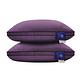 【Hilton 希爾頓】沉醉紫羅蘭銀離子100%萊賽爾60支紗獨立筒枕/紫色(枕芯x1+枕套x1/萊賽爾枕/枕頭)(B0117-L) product thumbnail 2