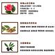 ebio伊比歐山茶花&荷荷巴護髮油30ml product thumbnail 5