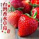 【天天果園】嚴選苗栗大湖香水草莓20-24顆4盒(每盒約400g) product thumbnail 3