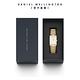 Daniel Wellington DW Bound 35x24mm 經典摩登精鋼方錶-三色任選 product thumbnail 16