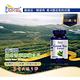 (買1送1) 愛司盟 綠茶菁萃膠囊食品(120顆/瓶) product thumbnail 3