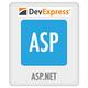 DevExpress ASP.NET Subscription(資料庫開發)單機下載 product thumbnail 2