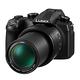 Panasonic LUMIX DC-FZ1000 II FZ10002  公司貨 product thumbnail 2