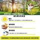 【timewell 時光安好】高單位800IU陽光維生素D3(60粒/2瓶 共120粒) product thumbnail 4