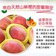【享吃鮮果】正宗鮮採拉拉山水蜜桃2箱(1.3kg±10%/6顆/箱) product thumbnail 4